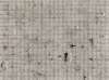 Imagen de la obra 60F-77